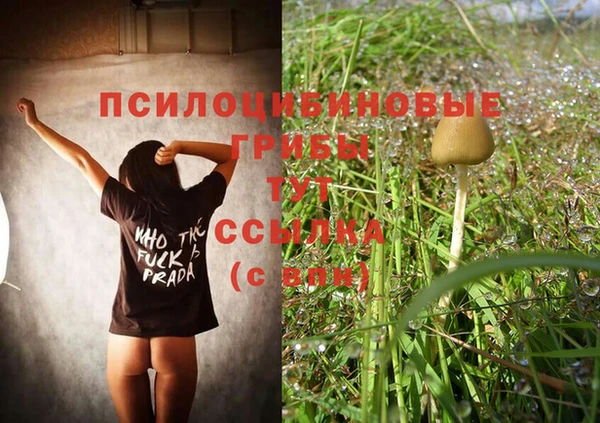 бошки Волоколамск